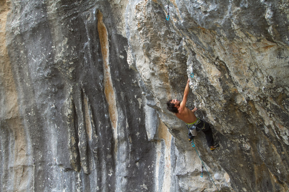 Une arquee pour un criquet (10)